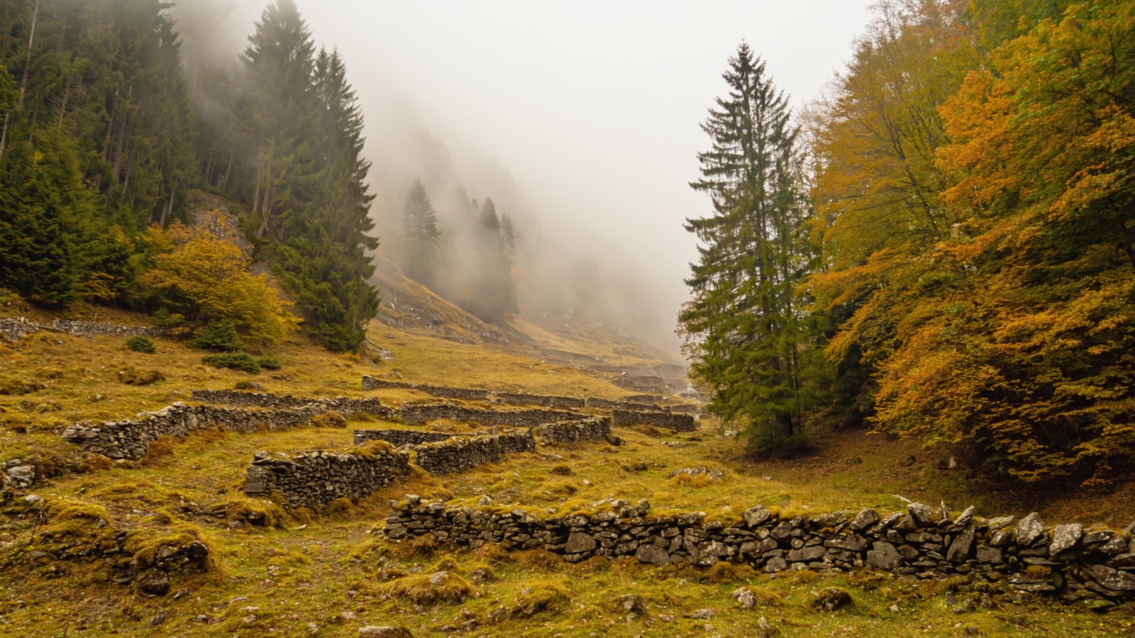 Bewaldete Steilhänge des Val Grande im Morgenlicht, Nebelbänder ziehen durch die tief eingeschnittenen Tobel